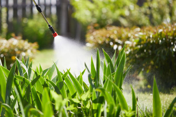 24/7 Emergency Mosquito Control experts in Beech Grove, IN